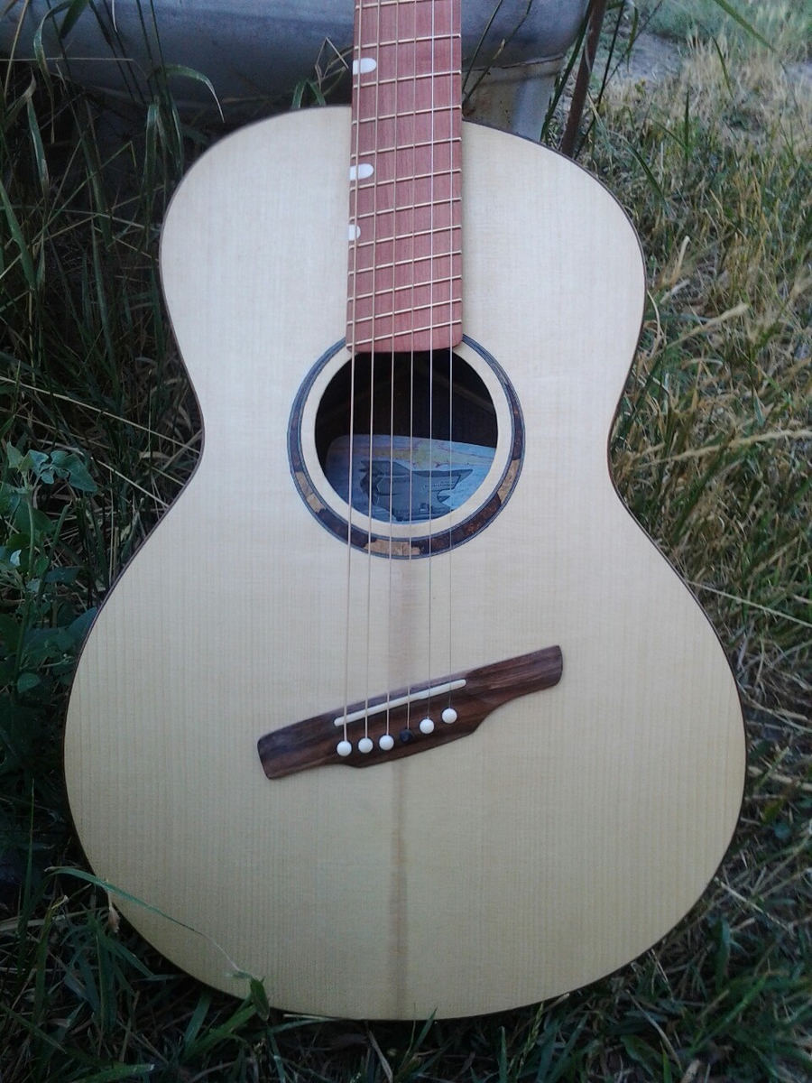 Pogreba guitar