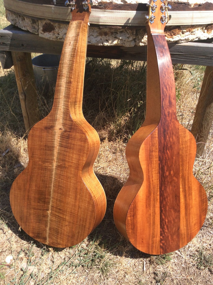 Pogreba guitar